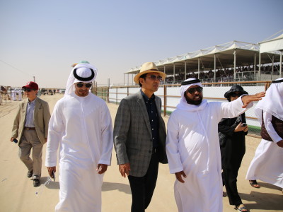 Al Dhafrah Camel Festival 2016