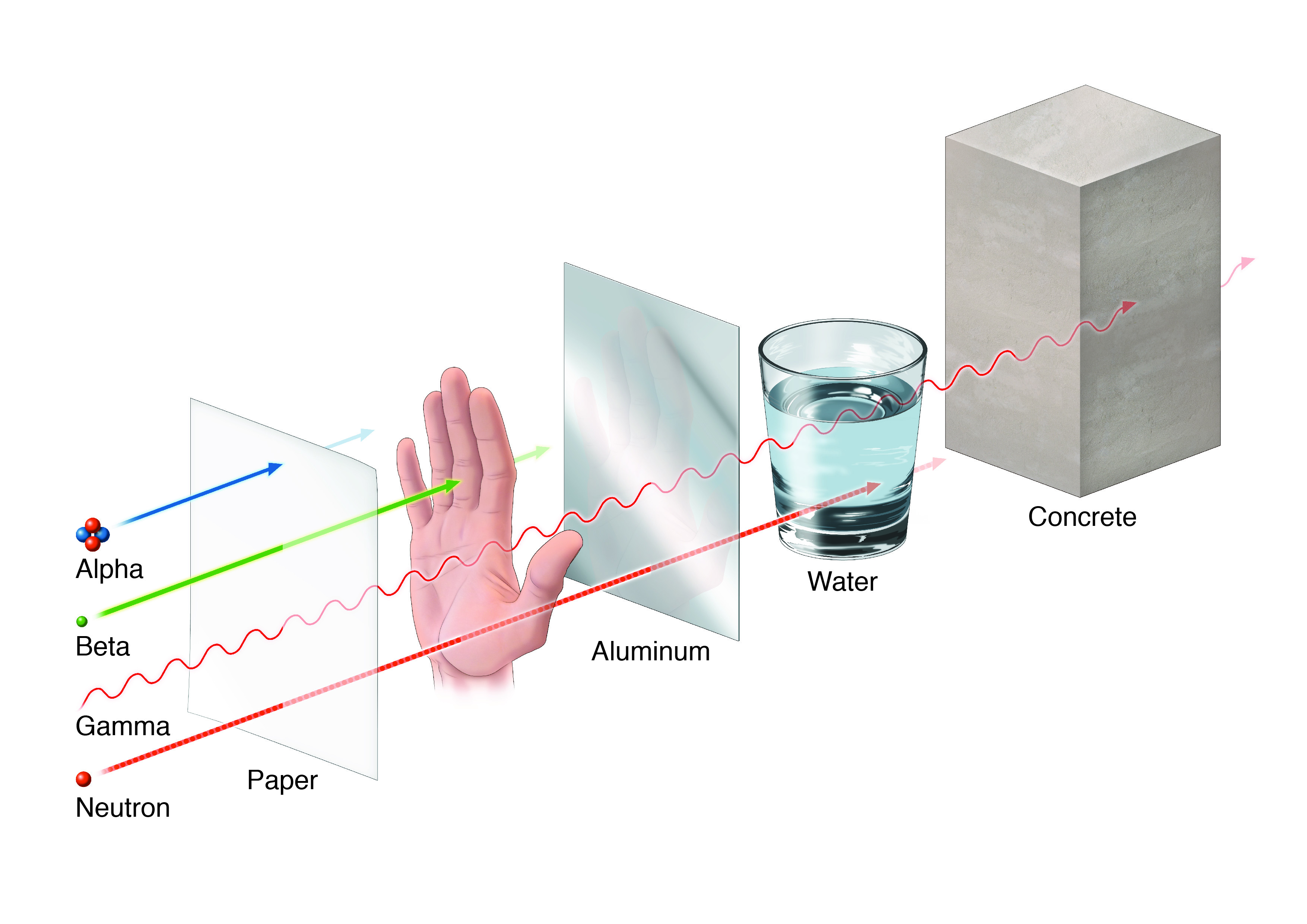 radiation-blockers-final-large-01-591a83514d918.jpg (original)